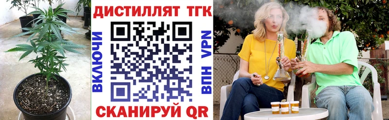 сколько стоит  Стерлитамак  Дистиллят ТГК THC oil 